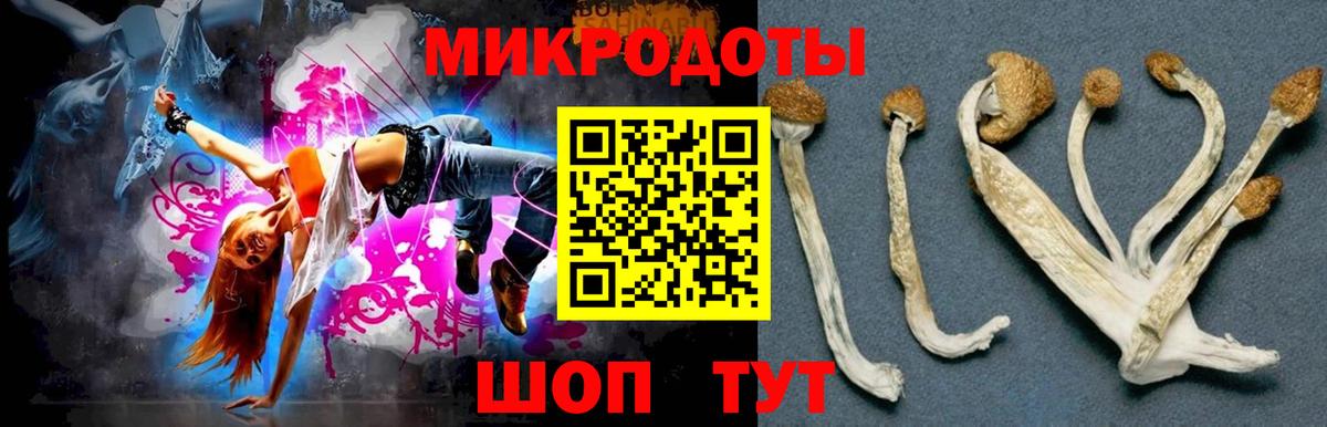 Галлюциногенные грибы Magic Shrooms  Вход с VPN  Советск 