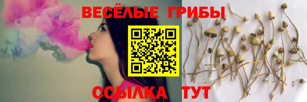 Галлюциногенные грибы мицелий Советск